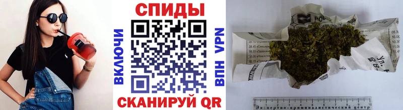 Купить  Черноголовка  БУТИРАТ 1.4BDO 