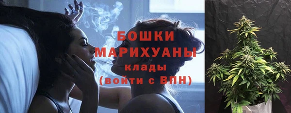 метадон Каменка
