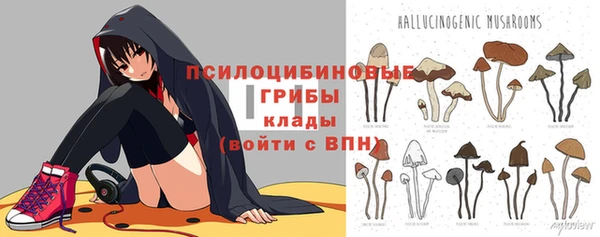 кокаин Каменногорск