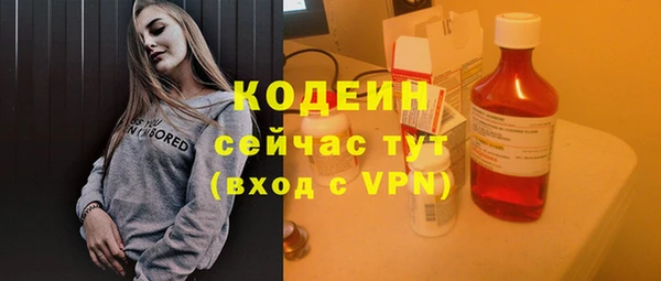 метадон Каменка