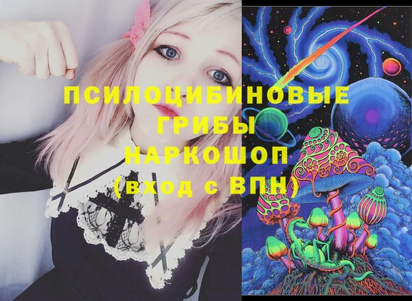 метадон Каменка
