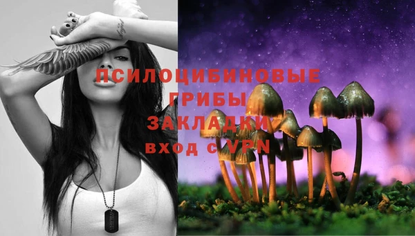 прущая мука Каменск-Шахтинский