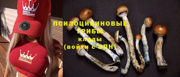 прущая мука Каменск-Шахтинский