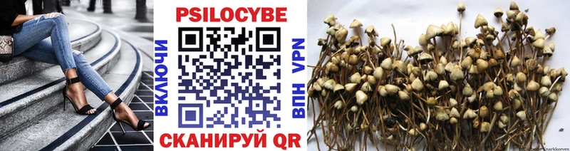 Купить закладки  Черноголовка  Псилоцибиновые грибы мухоморы 